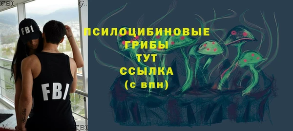 экстази Краснослободск