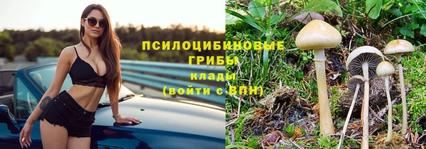 экстази Краснослободск