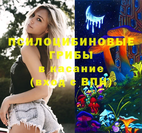 гидра Красноперекопск